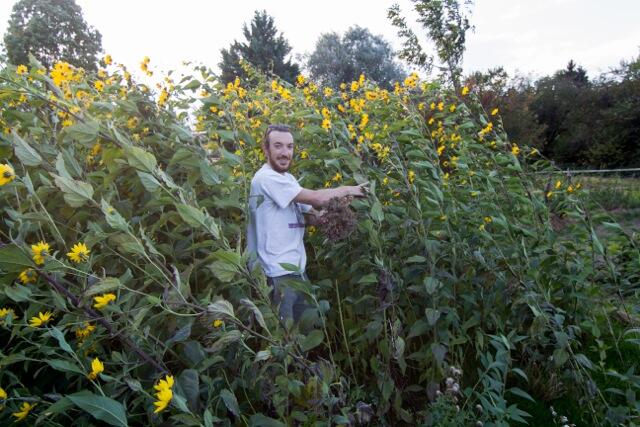 Gartenwerk_FörderprojektJugendkongress2015_NABU_JakobHörl © Jakob Hörl_Gartenwerk